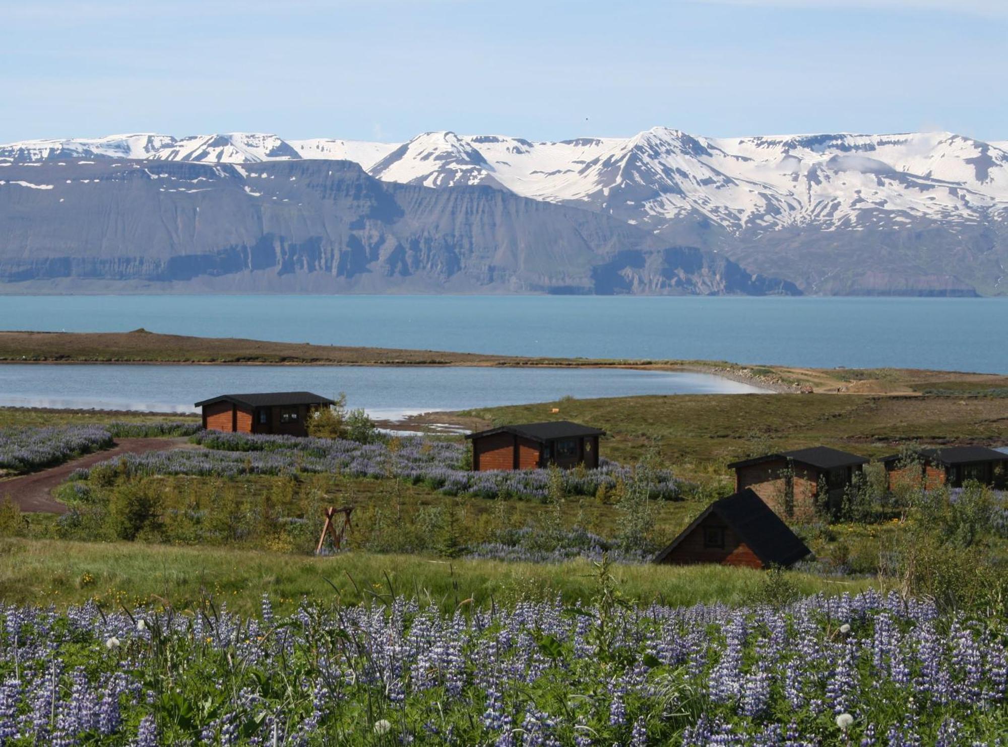 Kaldbaks-Kot Cottages Husavik Exterior foto